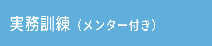 実務訓練